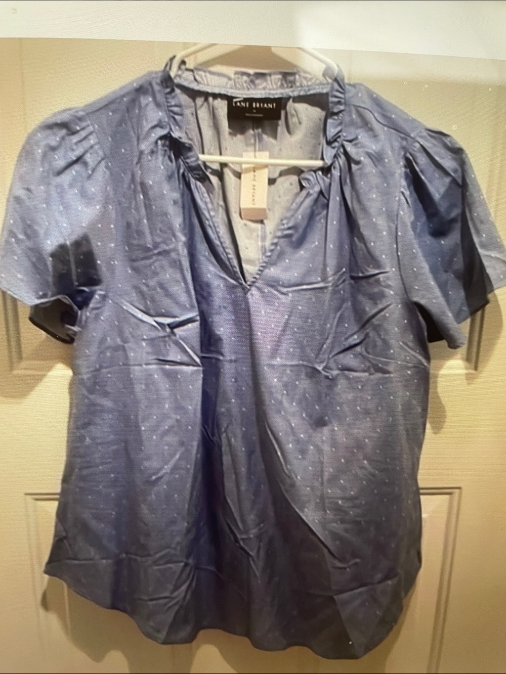 Lane Bryant Light Blue Dot V-Neck Popover Blouse
